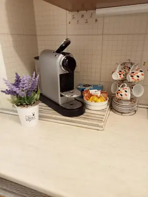 a kitchen counter with a coffee maker and flowers at House Vaticano in Rome