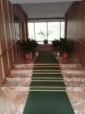 a hallway with plants and stairs in a building at House Vaticano in Rome