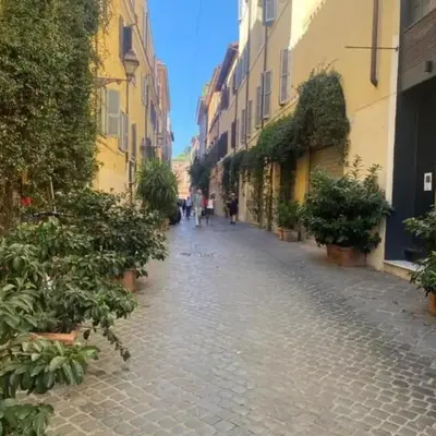 Margutta Domitia Home
