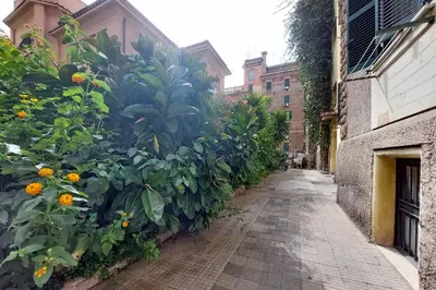 an alley with a bunch of plants on the side of a building at YCH-Brand new Vatican flat with terrace in Rome