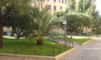 a palm tree in a park next to a fence at Il Viandante al Pigneto - Parcheggio privato su richiesta in Rome