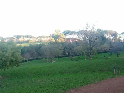 a large green field with animals laying in the grass at Rooftop Appia antica,silenzioso riservato two bedrooms two bathrooms in Rome