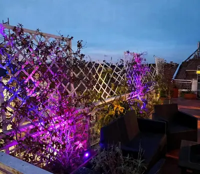 a garden with purple lights on a fence at Rooftop Appia antica,silenzioso riservato two bedrooms two bathrooms in Rome