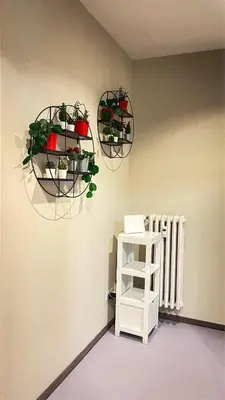 a room with two hanging plants and a radiator at Ele rooms San Pietro in Rome