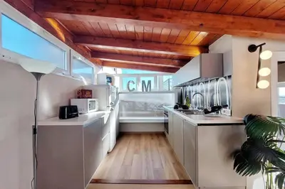 a kitchen with a refrigerator and a sink at Terrace Mariù Apartment in Rome