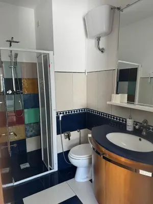 a bathroom with a toilet and a sink and a shower at Borgo Dei Centurione in Rome