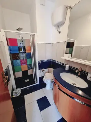 a bathroom with a sink and a shower and a toilet at Borgo Dei Centurione in Rome