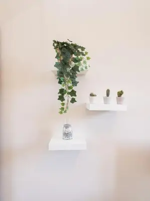 a plant in a vase on a white wall at Home Holiday Rome - Basilica San Pietro in Rome