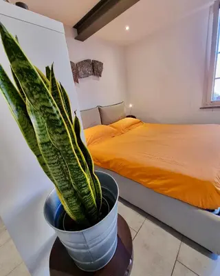 a bedroom with a bed and a potted plant at Poetico Monolocale Indipendente nell’Antico Pastificio in Rome