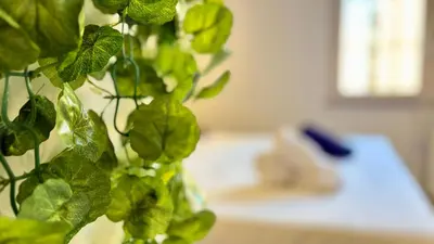 a plant with green leaves next to a telephone at Poetico Monolocale Indipendente nell’Antico Pastificio in Rome