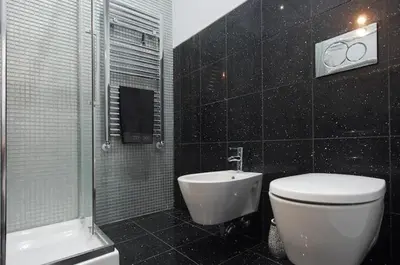 a bathroom with a toilet and a shower and a bidet at Suite Noir St Peter View in Rome