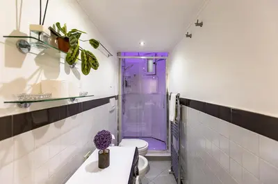 a bathroom with a purple shower and a toilet at Gianicolo Holiday House in Rome