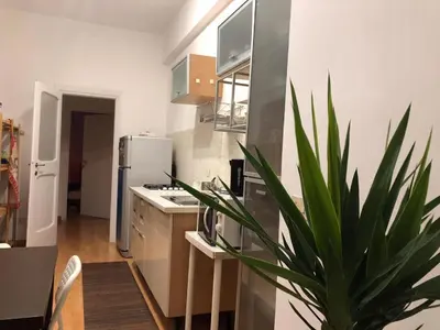 a kitchen with a plant in the middle of it at CORNELIUS in Rome