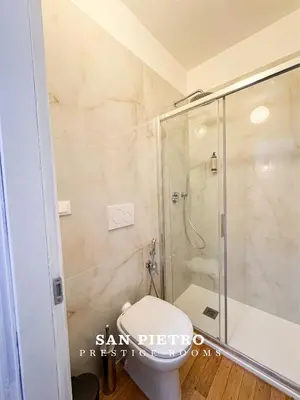 a bathroom with a shower and a toilet at San Pietro Prestige Rooms in Rome