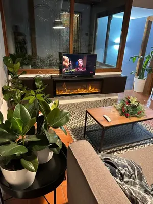 a living room with a fireplace and a tv at The Vatican Jungle loft con giardino vicino al Vaticano in Rome