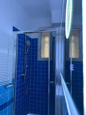 a blue tiled bathroom with a shower and a tub at The Vatican Jungle loft con giardino vicino al Vaticano in Rome