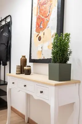 a white console table with a potted plant on top at DOMUS TRAIANA in Rome