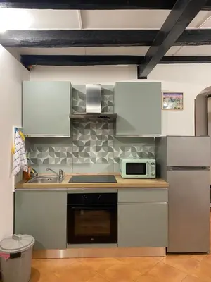 a kitchen with a sink and a microwave at Casa Vicolo Moroni - Trastevere in Rome