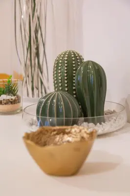 two green cactuses in glass bowls on a table at Angelina's cozy home in Rome