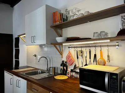 a kitchen with a sink and a microwave at BQA San Crisogono Apartments Rome-Trastevere in Rome