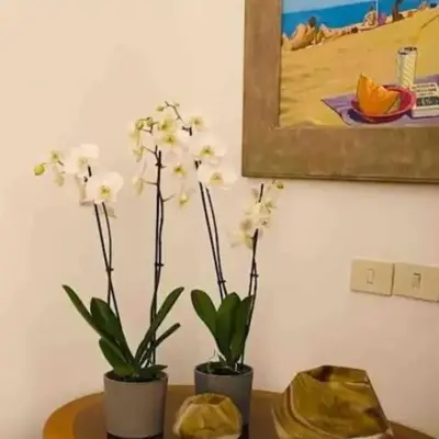Apartamento loft ingresso independente central zona san lorenzo