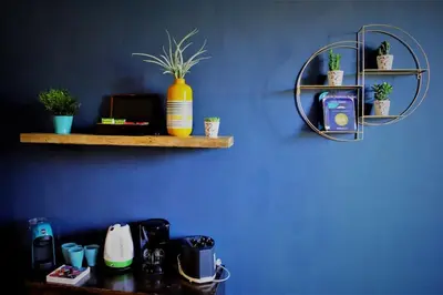 a blue wall with shelves with plants and a mirror at Guest Art Trastevere Station with AC in Rome