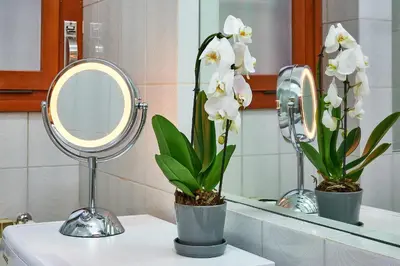 a bathroom with a mirror and white flowers on a sink at Anastasio II apartment in Rome