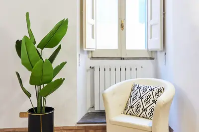 a chair and a plant in a room with a window at iFlat Magnificent flat near the Colosseum in Rome