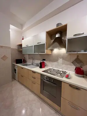 a kitchen with a sink and a stove at Rome Elements Apartment in Rome