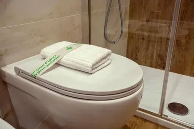 a bathroom with a toilet with a shower and towels at Salotti 15 in Rome