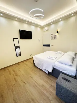a bedroom with a bed and a flat screen tv at ZEUS GROUP VATICAN in Rome