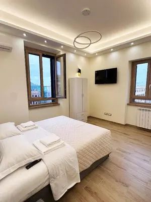 a bedroom with a large bed and a flat screen tv at ZEUS GROUP VATICAN in Rome