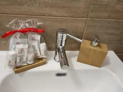 a sink with a bottle of soap and a toothbrush at San Paolo Casa Bella in Rome
