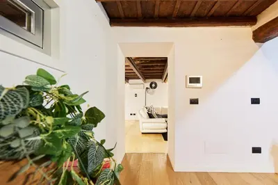 a living room with a couch and a plant at iFlat Marvellous home near Via del Corso in Rome