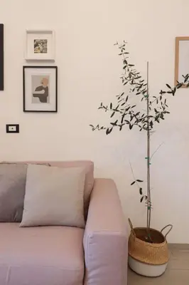 a plant in a pot next to a couch at San Pietro - moderno appartamento in Rome