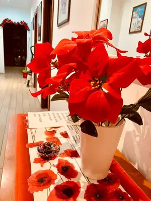 a vase filled with red flowers on a table at Family in Rome in Rome