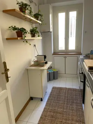 a kitchen with a counter with plants on the wall at Volupta's House Janiculum Hill in Rome