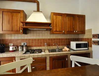 a kitchen with wooden cabinets and a sink and a microwave at Le 3 Elle Vaticano San Pietro in Rome