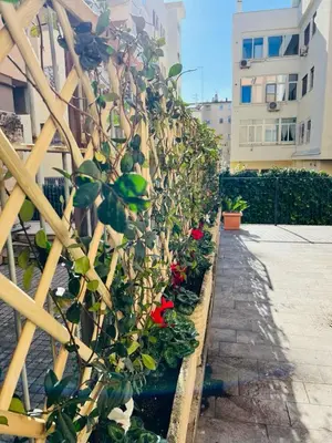 a fence with a bunch of plants growing on it at Matilda House EUR 4 posti letto in Rome