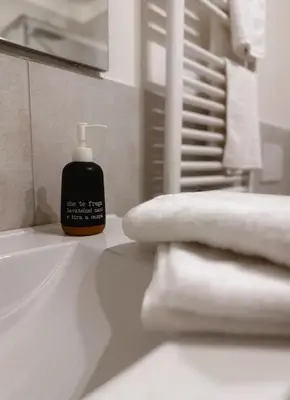 a bathroom sink with a bottle of soap and towels at Caesar's Suite Trastevere in Rome