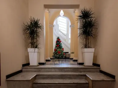 a christmas tree in a hallway with potted plants at The Best Rent - Colorful loft in Trastevere area in Rome