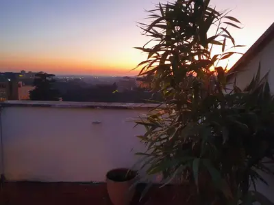 a plant sitting on top of a white wall with a sunset at Appartamento 