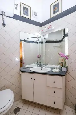 a bathroom with a sink and a toilet at Trastevere Characteristic Roman Home in Rome