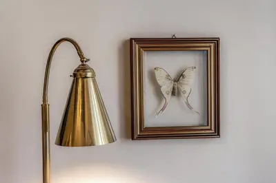 a picture of a butterfly in a frame next to a lamp at Residenza Brama - Art ApartHotel in Rome