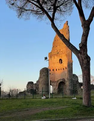 an old building in a field with a tree at Apartment Albona 77 in Rome