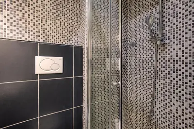 a shower in a bathroom with black and white tiles at Minerva Apartment in Rome