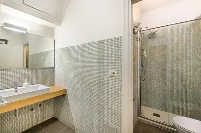 a bathroom with a sink and a shower at Lion Aparts Rome - Vatican City in Rome