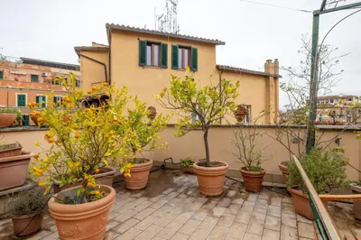 a bunch of potted trees in pots on a balcony at maison pelliccia Terrace in Rome