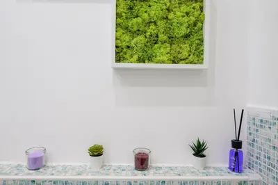 a picture on a wall with plants on a counter at Appartamento via di Torre Argentina (Navona) in Rome