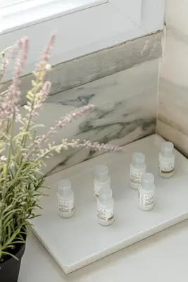 a shelf with candles on it next to a potted plant at Bright and cozy apartment near the Vatican city in Rome